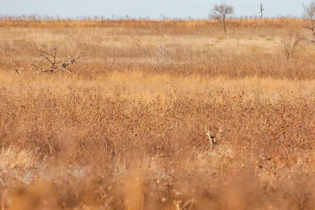 a view of an ocean and beach