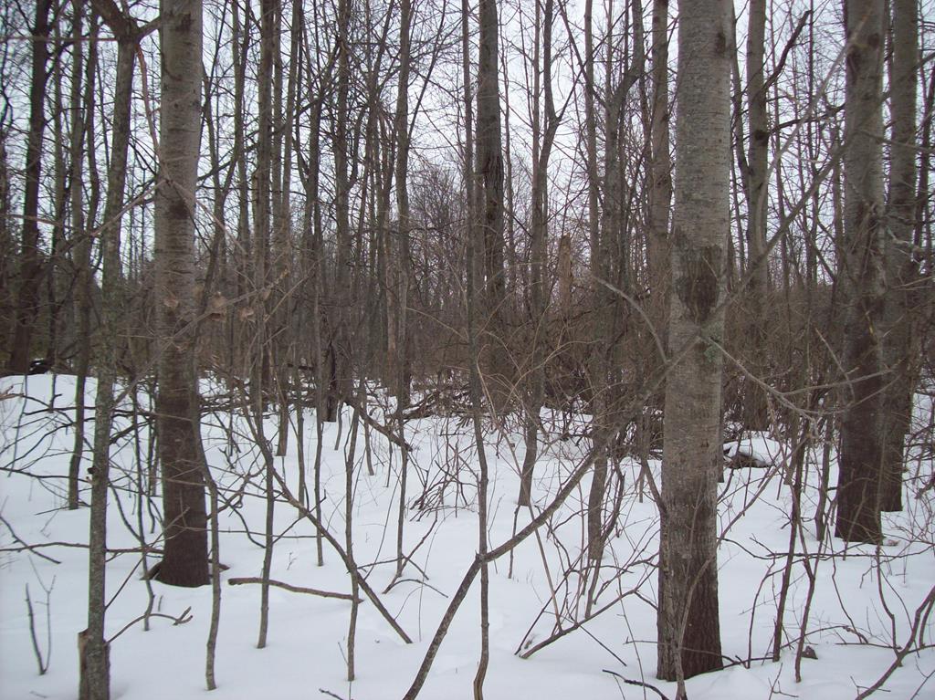 Rainbow Ridge Egg Harbor, WI 54209 - Photo 1 of 4