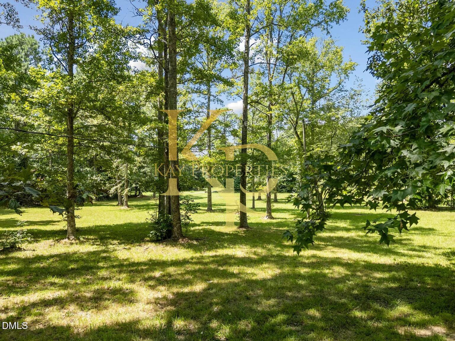 951 Walter Bright Road Sanford, NC 27330 - Photo 35 of 38