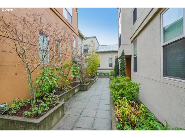 a view of path along with potted plants