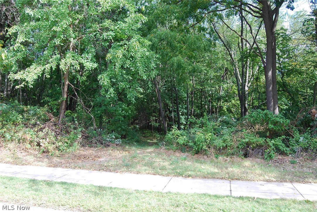 Walnut Road Southeast Massillon, OH 44646 - Photo 5 of 6 Gallery Image 5