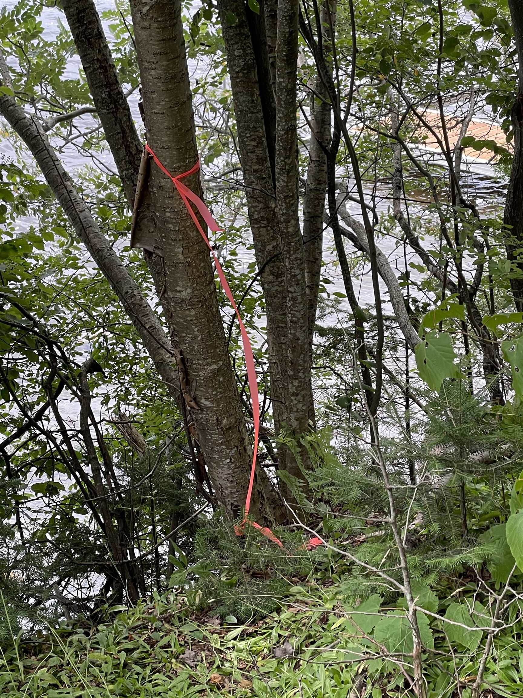 618 Cottage Road Averill, VT 05903 - Photo 5 of 13