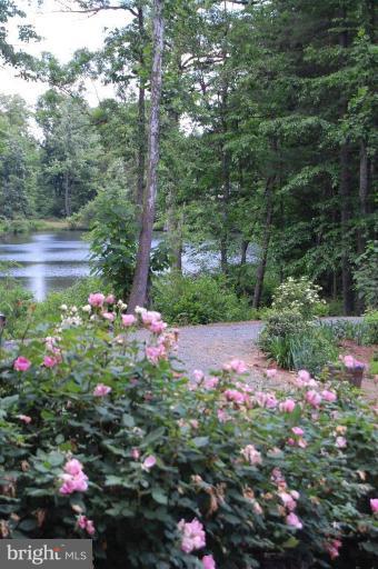 24043 New Mountain Road Aldie, VA 20105 - Photo 3 of 7 Back yard