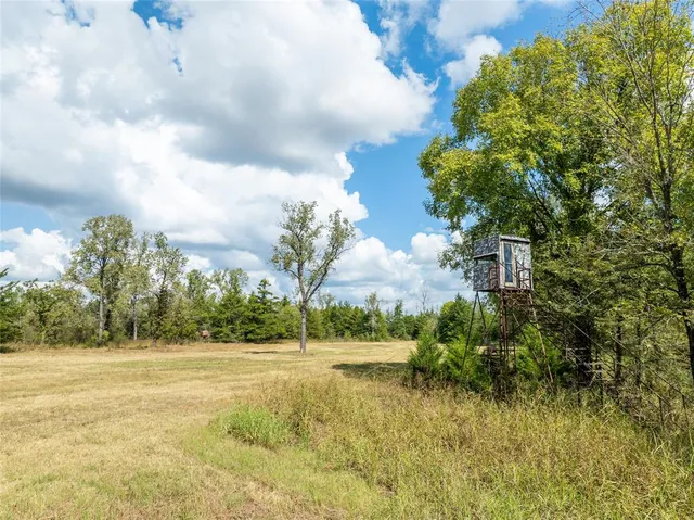 a view of outdoor space with garden
