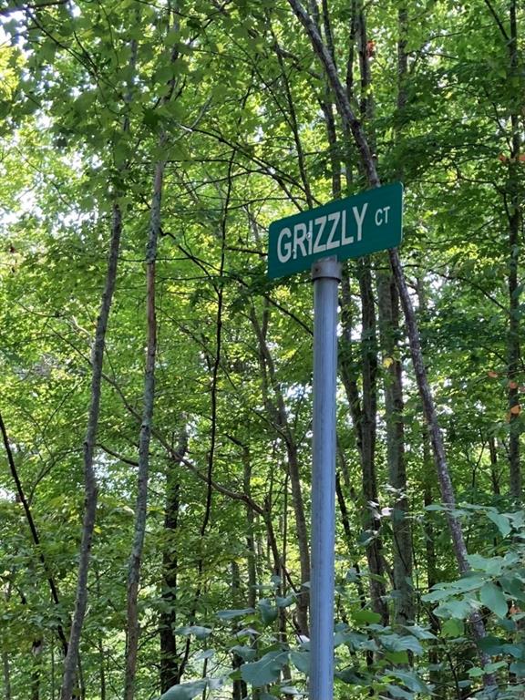 a street sign that is sitting in a forest