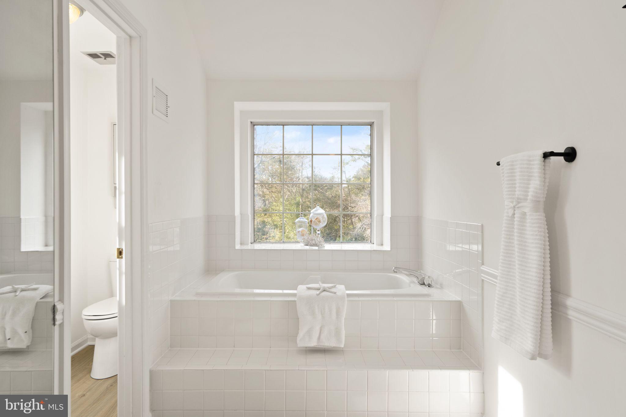 11 Moss Road Sterling, VA 20165 - Photo 35 of 71 Soaking Tub