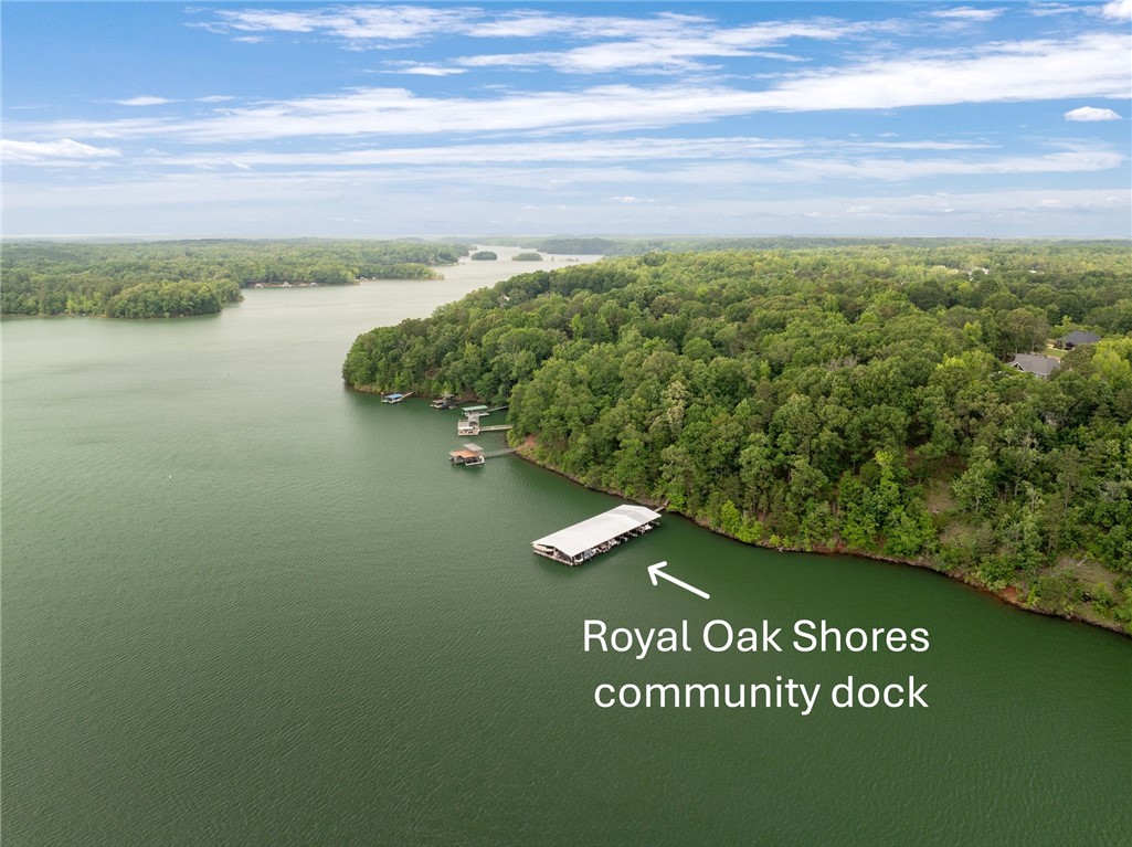 103 Crepe Myrtle Lane Anderson, SC 29625 - Photo 3 of 42