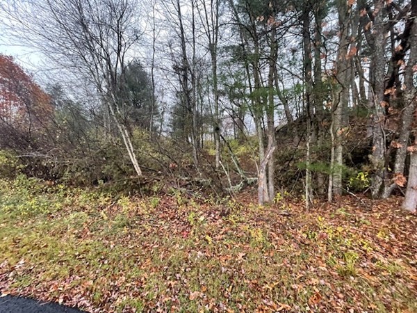 176 Station Road Barre, MA 01005 - Photo 5 of 5 Gallery Image 5