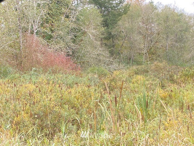 13947 Tilley Road Southwest Tenino, WA 98589 - Photo 1 of 3 Gallery Image 1