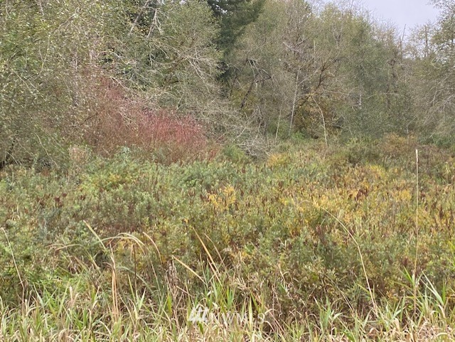 13947 Tilley Road Southwest Tenino, WA 98589 - Photo 2 of 3 Gallery Image 2