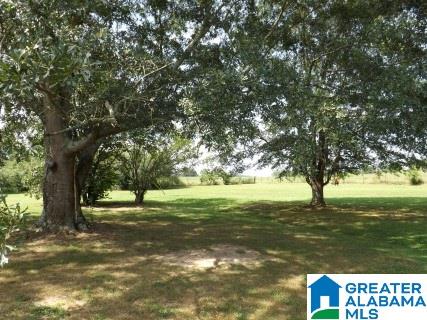 168 Jay Street Cleveland, AL 35049 - Photo 37 of 46