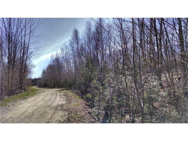 Lot # 8 Prescott Brook Road Springfield, ME 04487 - Photo 2 of 7 Land.