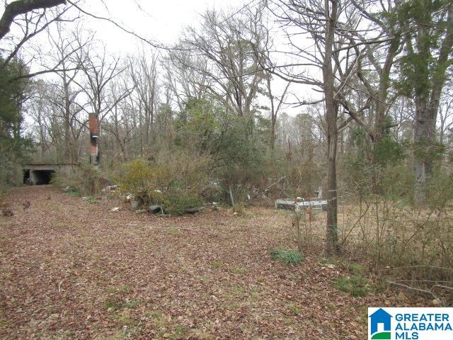 253 Old County Rd 109 Anniston, AL 36201 - Photo 6 of 10