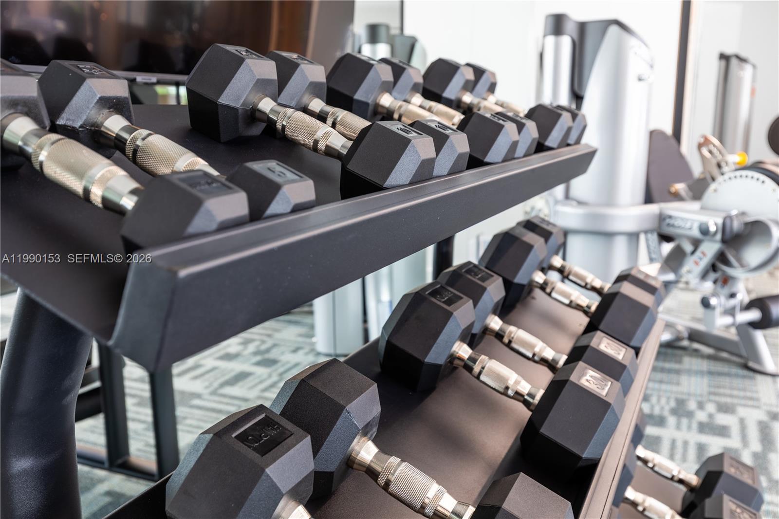 1005 Spring Garden Road, Unit 748 Miami, FL 33136 - Photo 20 of 35 a view of living room with furniture and rug