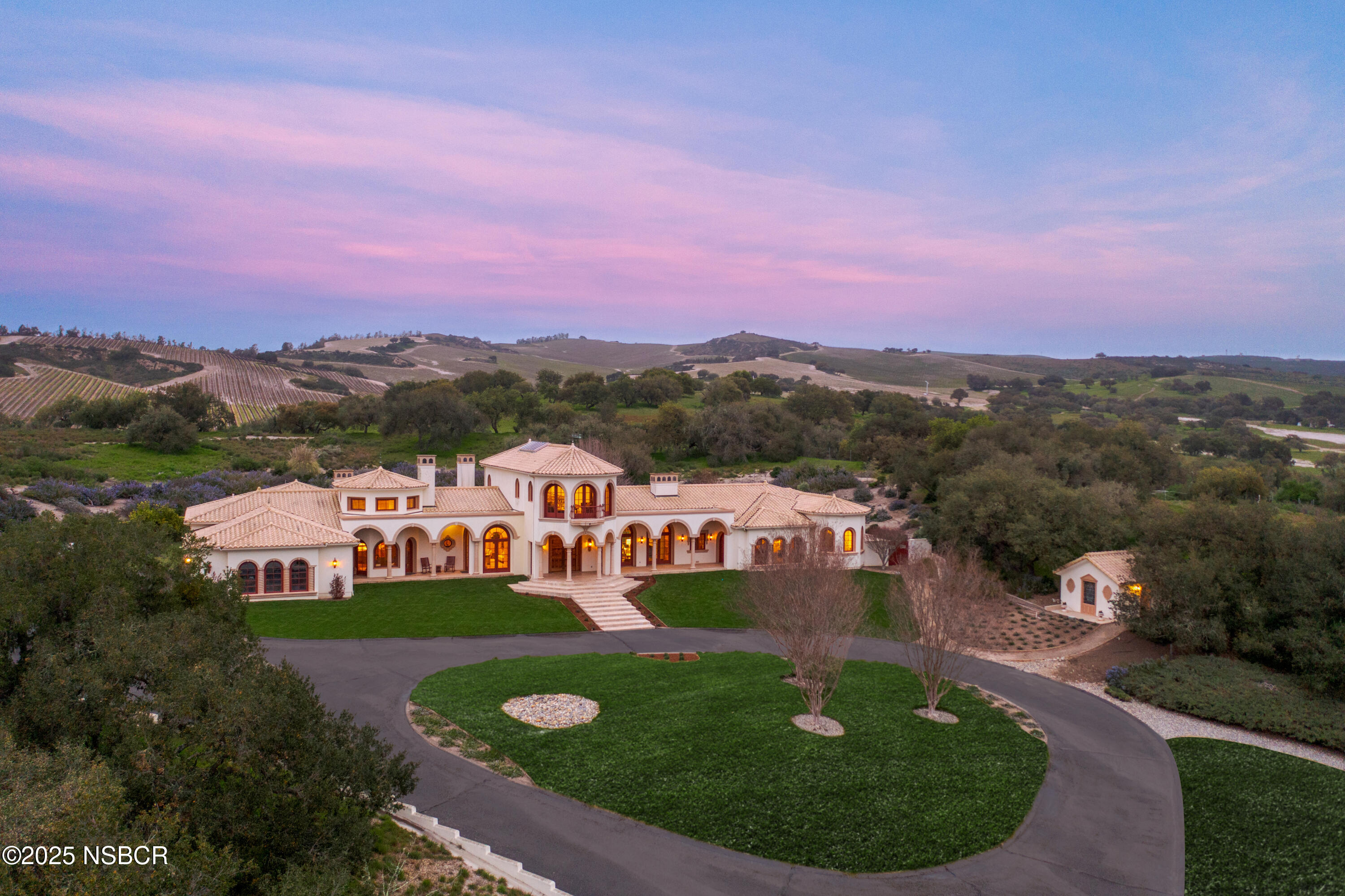 an aerial view of residential houses with outdoor space and trees