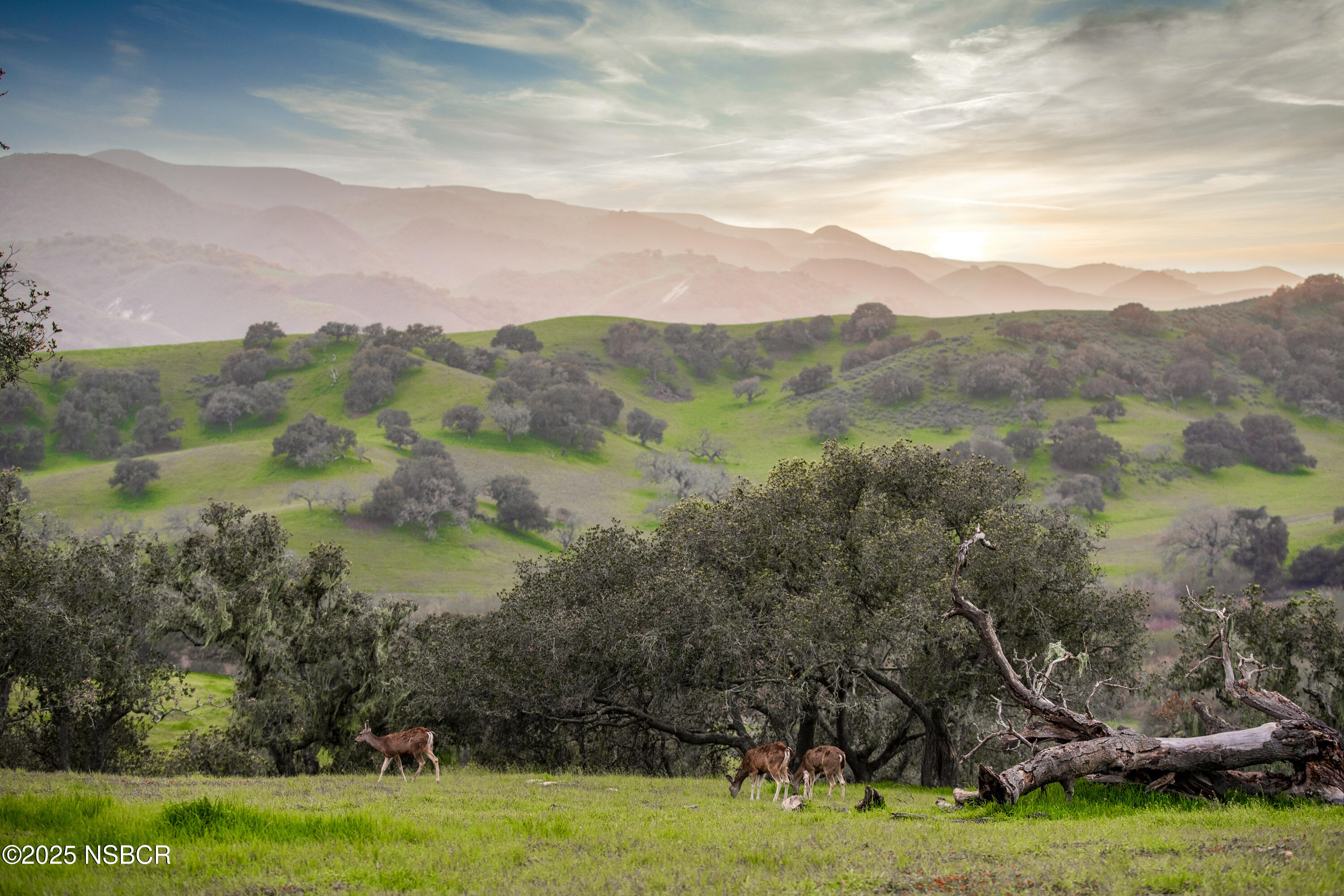 9985 Alisos Canyon Road Los Alamos, CA 93440 - Photo 4 of 25 a view of lake with mountain