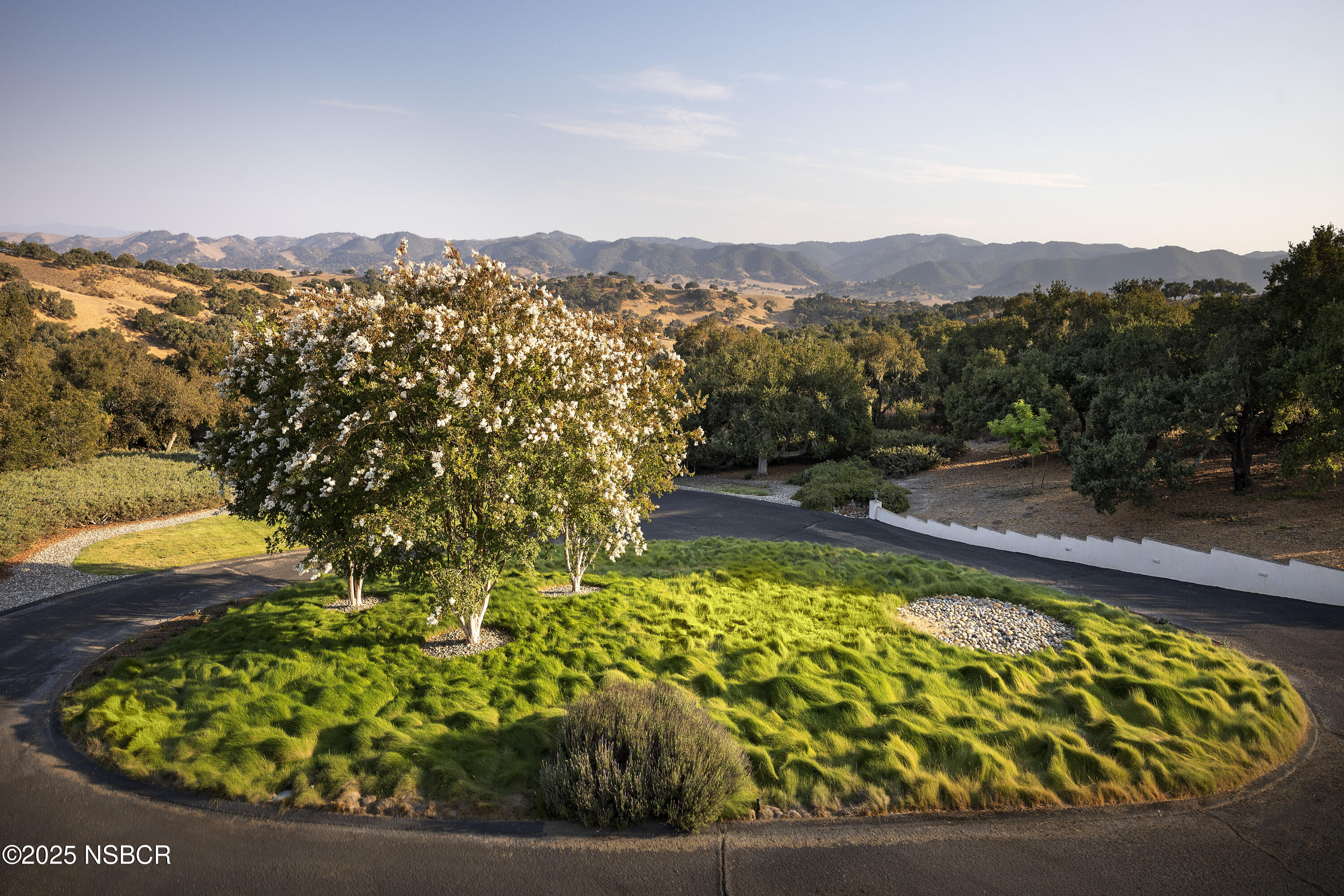 9985 Alisos Canyon Road Los Alamos, CA 93440 - Photo 6 of 25 a view of swimming pool with mountain view