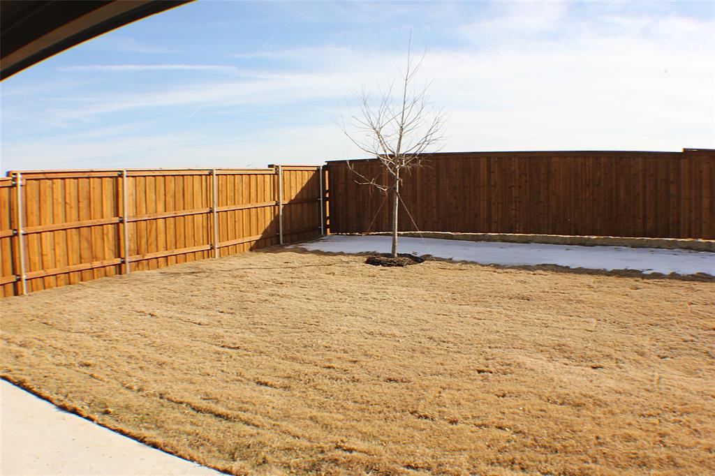 14461 Mietner Street Pilot Point, TX 76258 - Photo 27 of 29