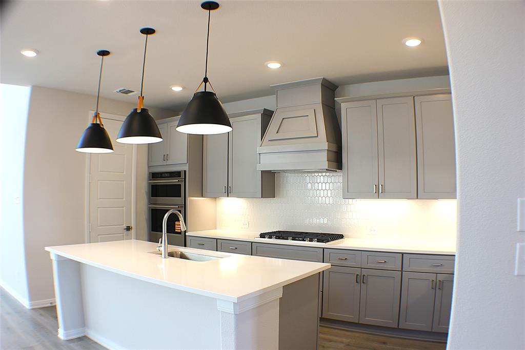 14461 Mietner Street Pilot Point, TX 76258 - Photo 6 of 29