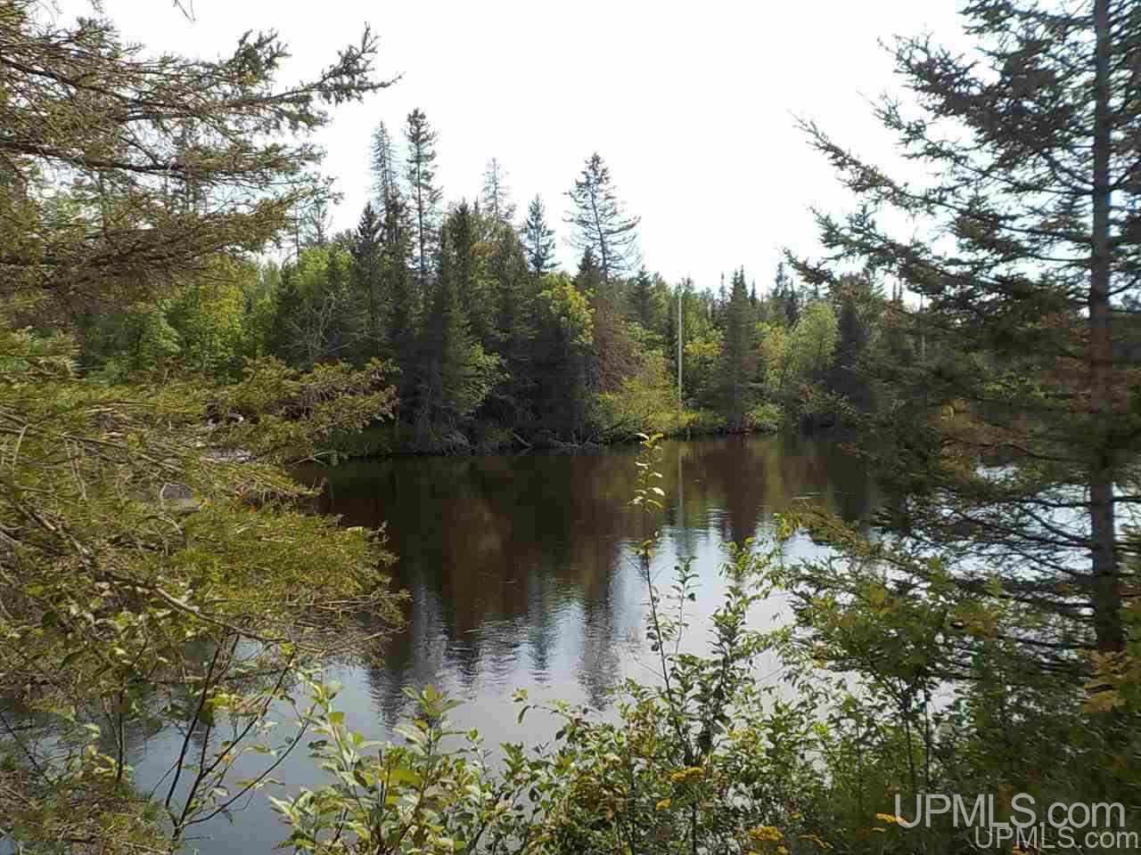 148 River Road Crystal Falls, MI 49920 - Photo 40 of 45