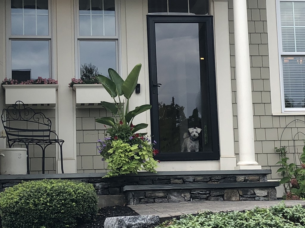 6 Adams Farm Road, Unit 6 Shrewsbury, MA 01545 - Photo 3 of 38 a potted plant sitting on the side of a building