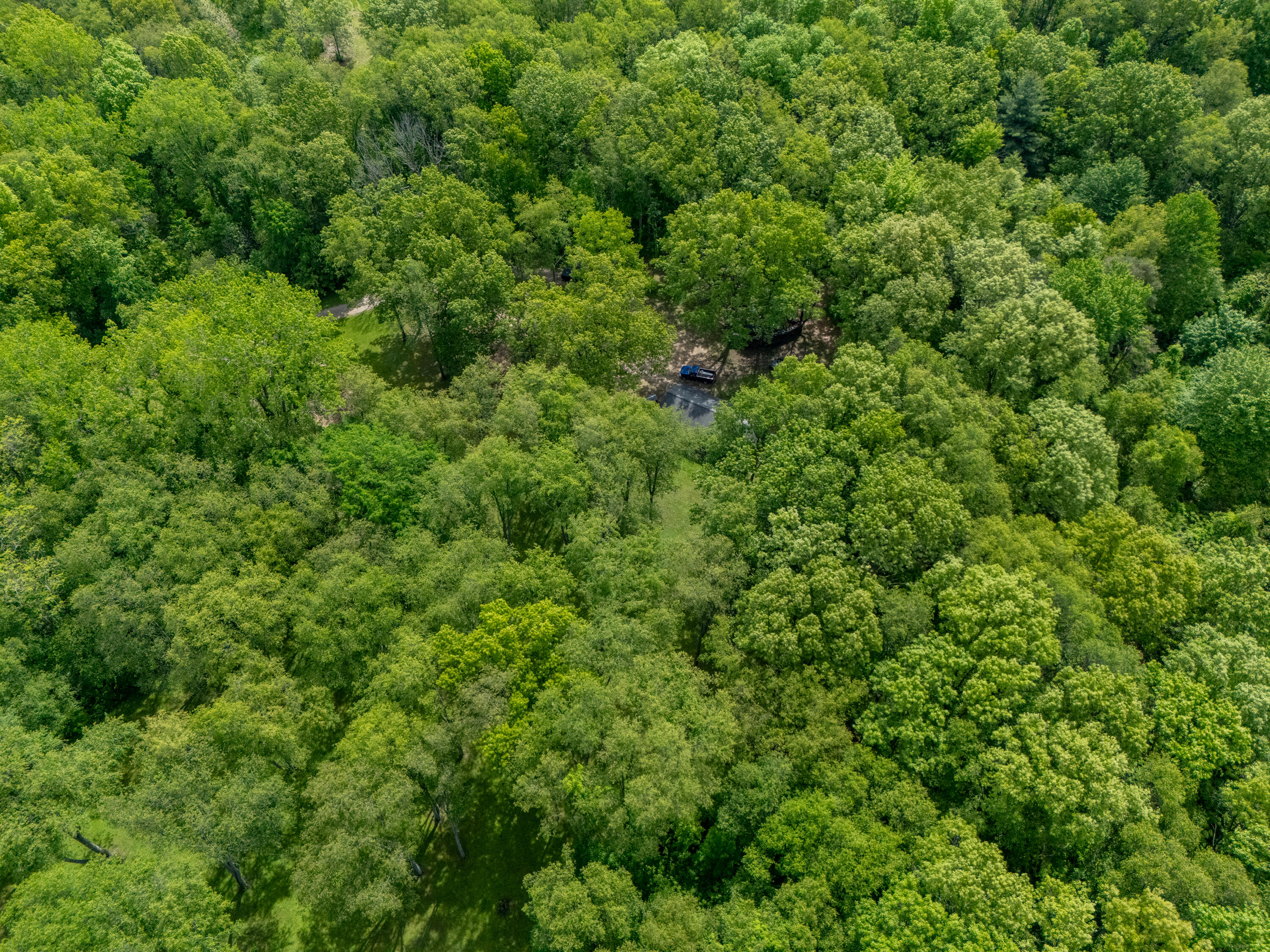 4521 Waldorf Road Delton, MI 49046 - Photo 25 of 31 4521 Wadorf Rd-509