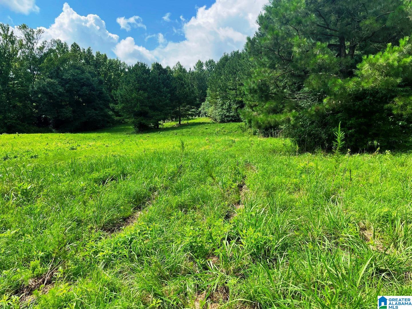 State Lake Road, Unit 24 04 Wedowee, AL 36278 - Photo 2 of 9