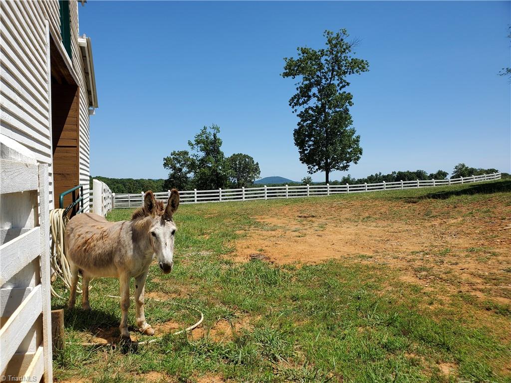 0 Finch Farm Road Thomasville, NC 27360 - Photo 16 of 50