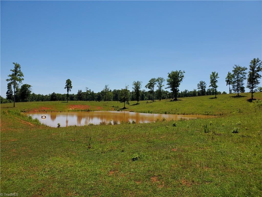 0 Finch Farm Road Thomasville, NC 27360 - Photo 4 of 50