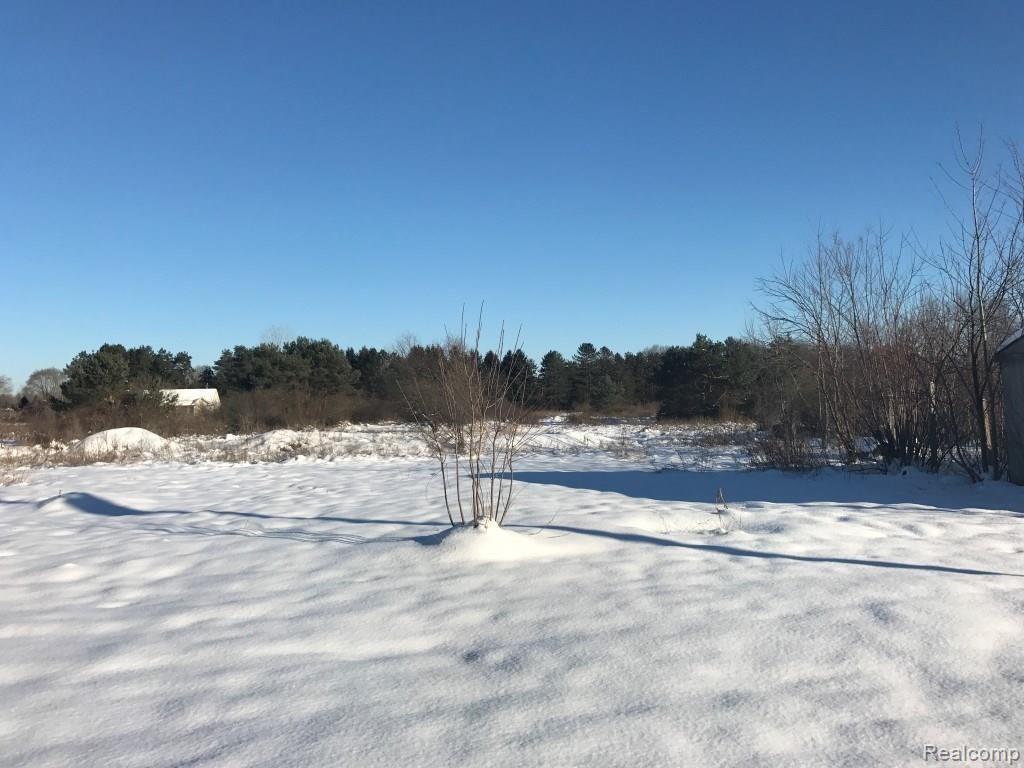 8651 Pingree Road Pinckney, MI 48169 - Photo 4 of 33 Backyard view