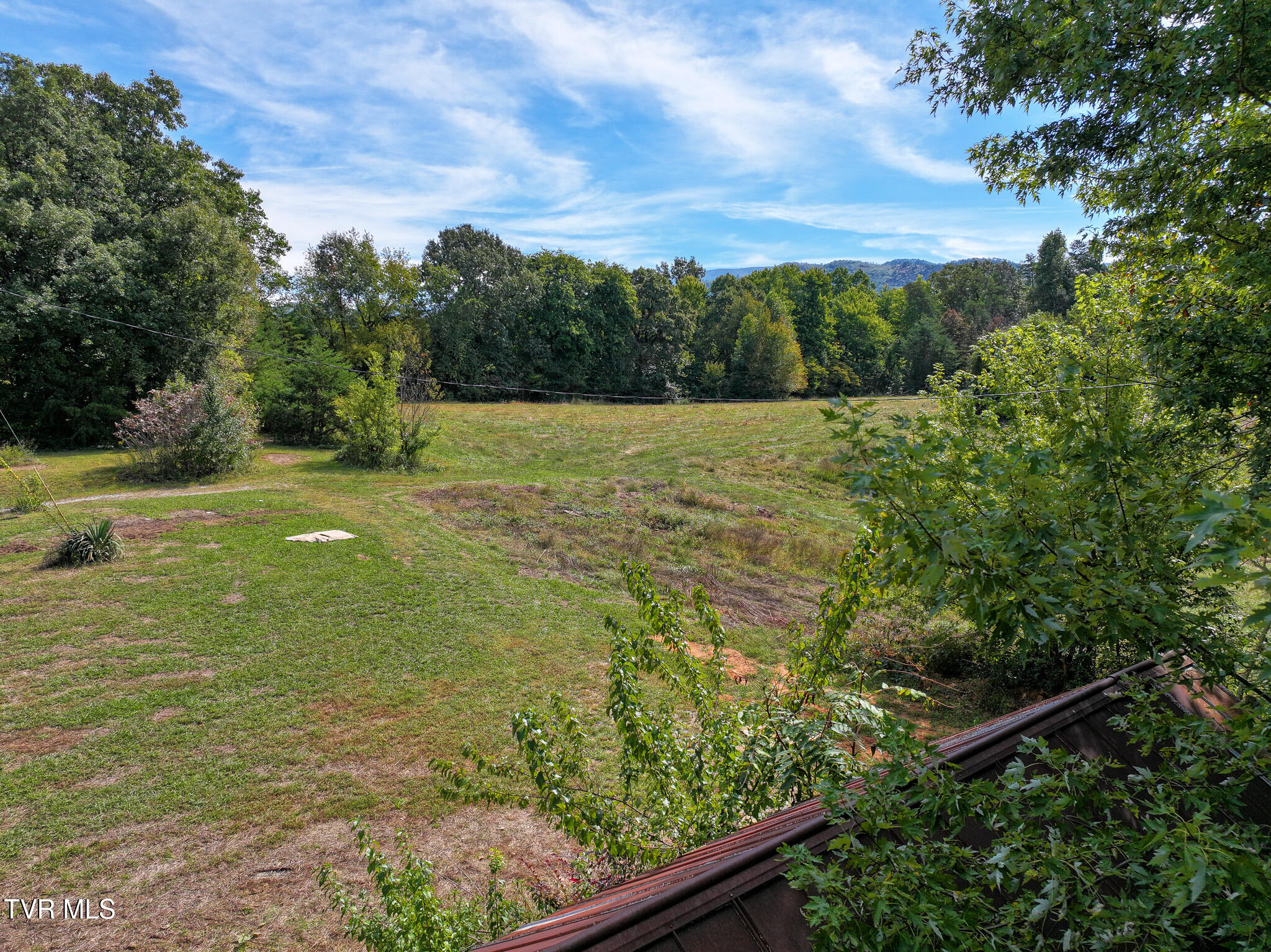 250 Bill Martin Road Afton, TN 37616 - Photo 10 of 23 10