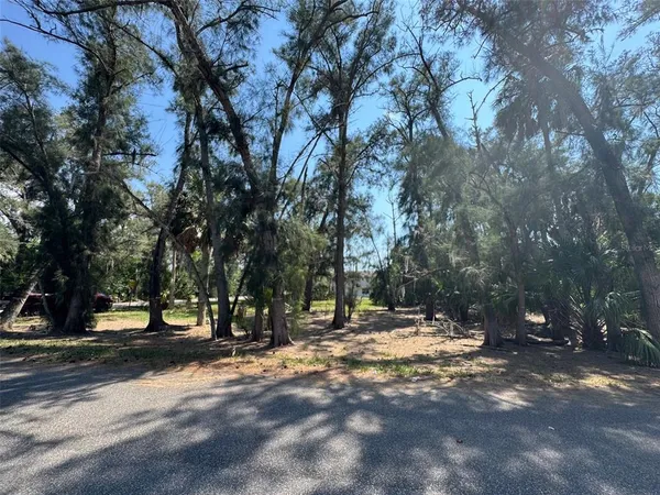 $45,000 | 0 Oelsner Street, New Port Richey, FL 34652