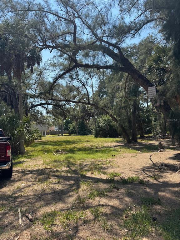 0 Oelsner Street New Port Richey, FL 34652 - Photo 2 of 3