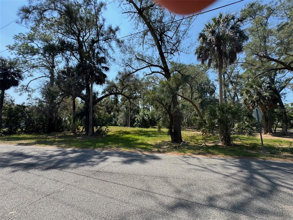 0 Oelsner Street New Port Richey, FL 34652 - Photo 3 of 3