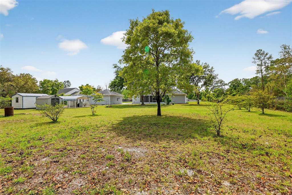 42808 Royal Trails Road Eustis, FL 32736 - Photo 80 of 80