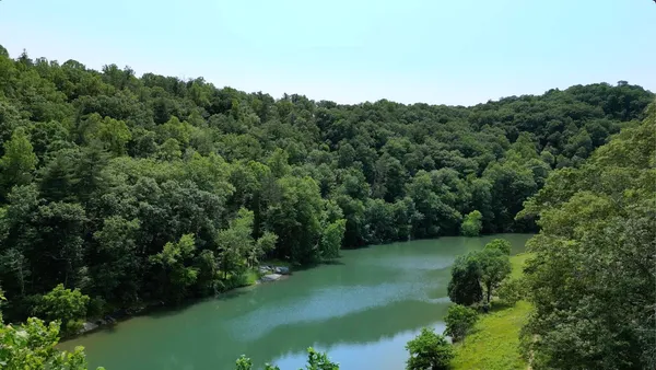 a view of a lush green forest with lots of trees