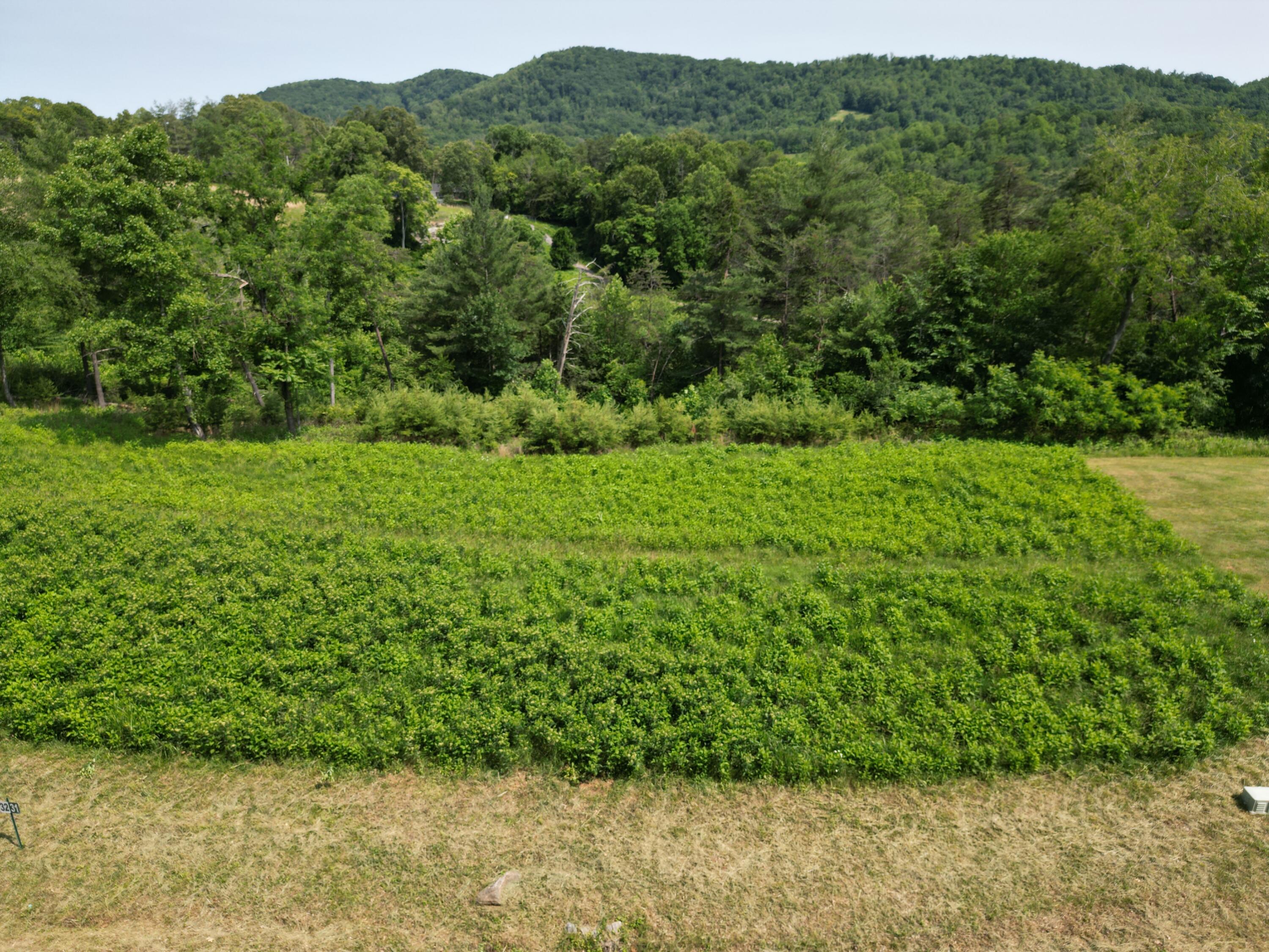 Lot 31 River Rock Road Vinton, VA 24179 - Photo 3 of 9 DJI_0184