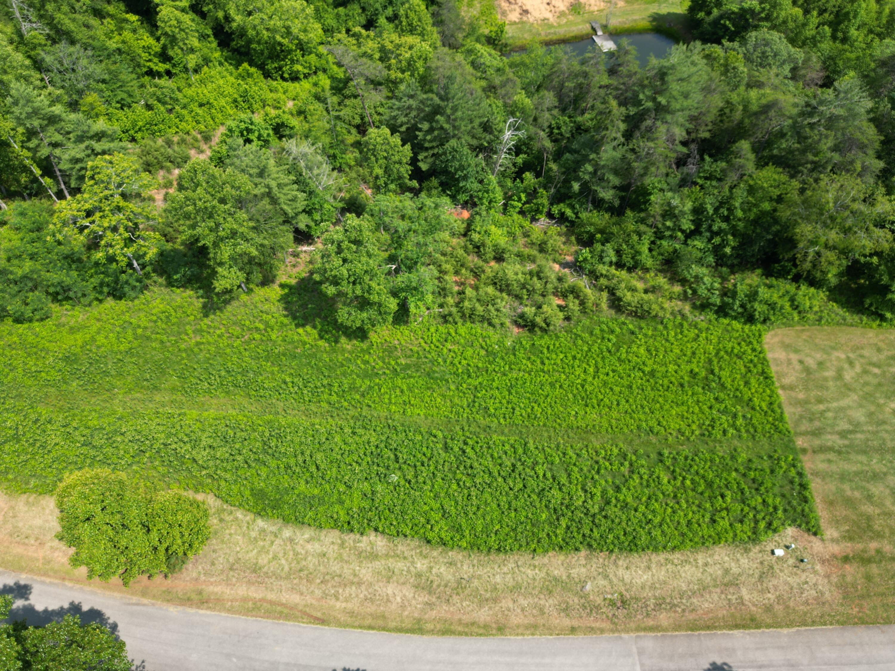 Lot 31 River Rock Road Vinton, VA 24179 - Photo 4 of 9 DJI_0185