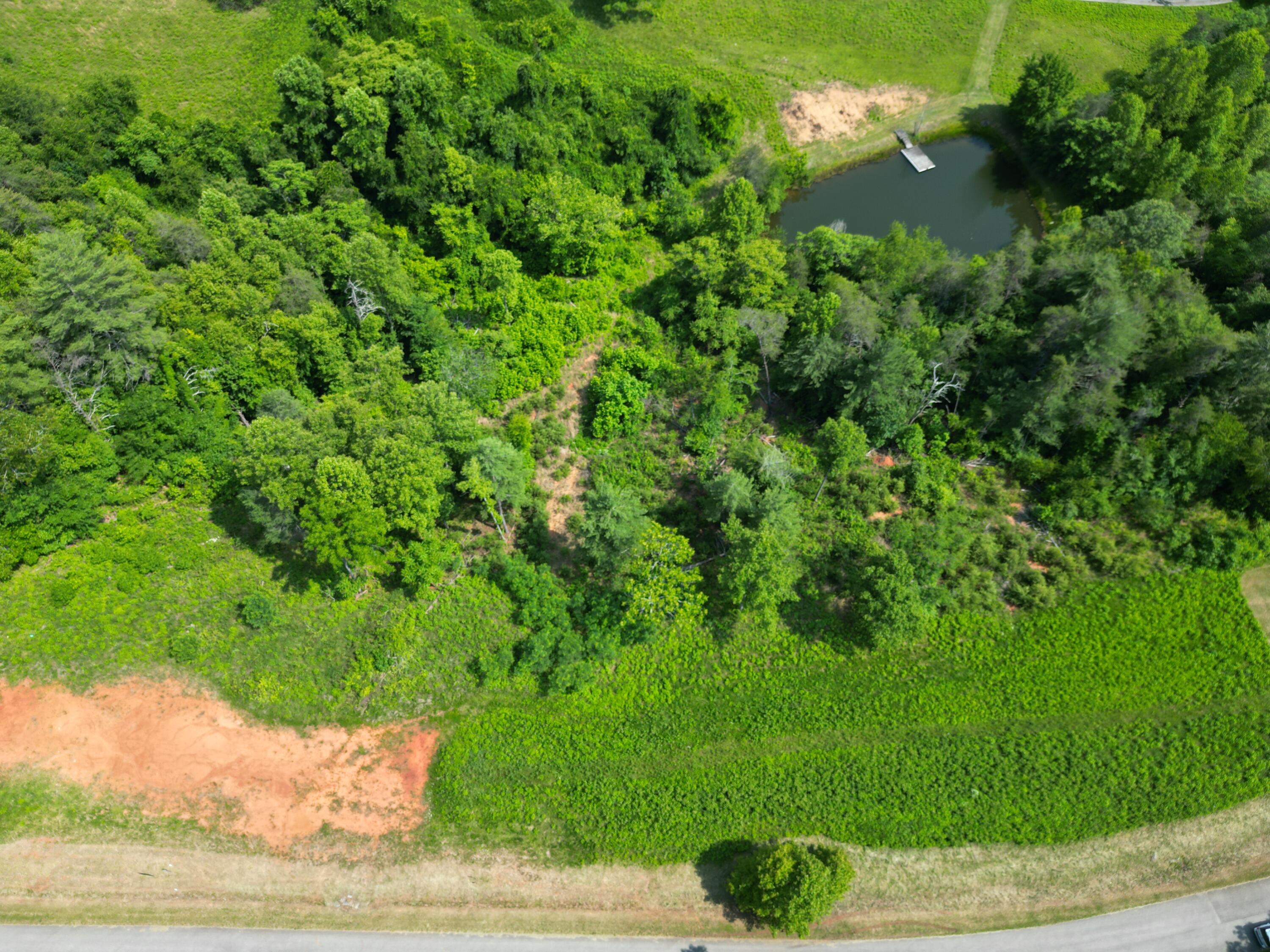 Lot 31 River Rock Road Vinton, VA 24179 - Photo 5 of 9 DJI_0186