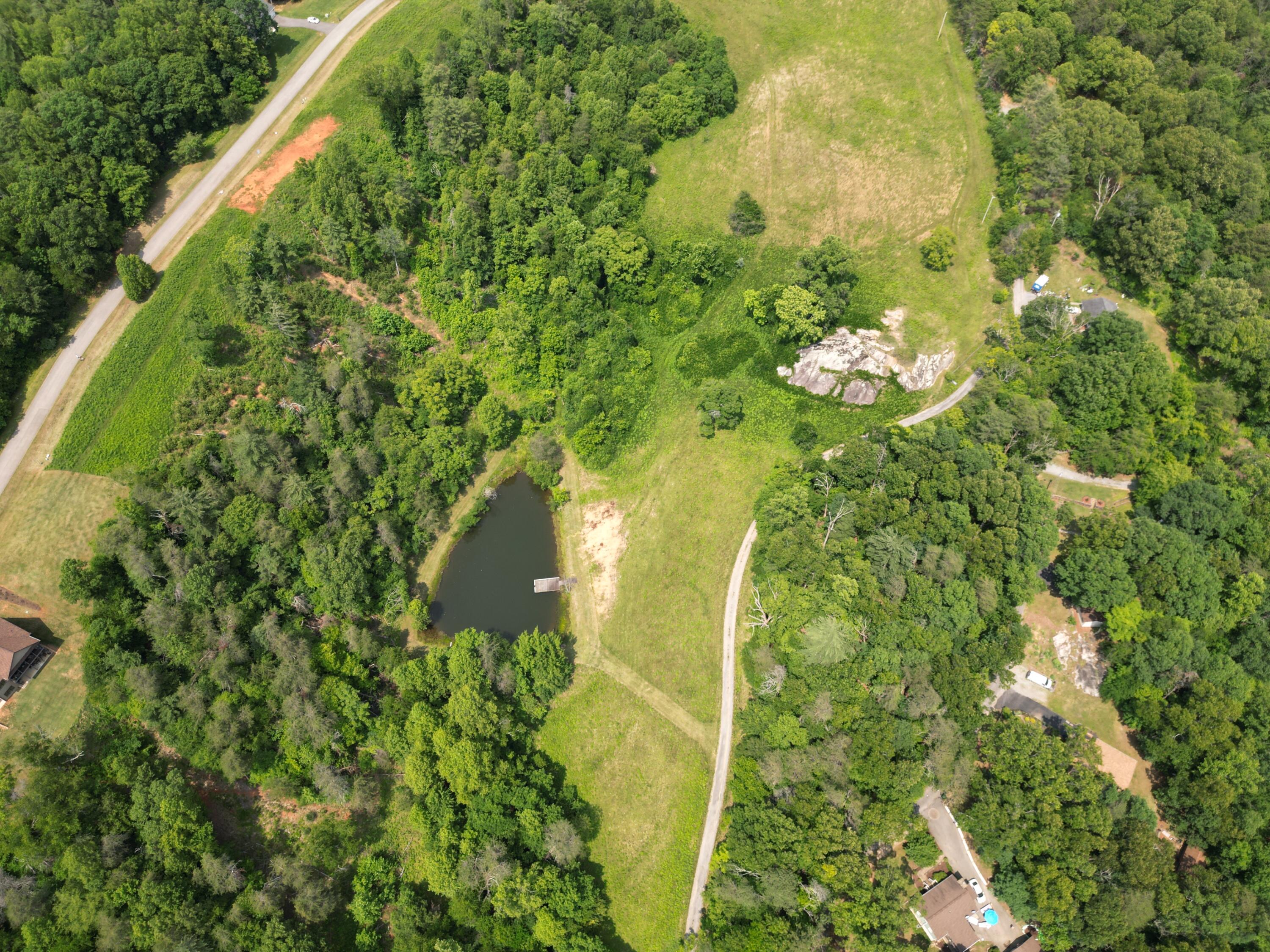 Lot 31 River Rock Road Vinton, VA 24179 - Photo 6 of 9 lot 31 Aerial Pond