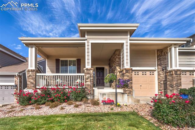 838 Altamont Ridge Drive Colorado Springs, CO 80921 - Photo 3 of 38 Beautiful rose bushes