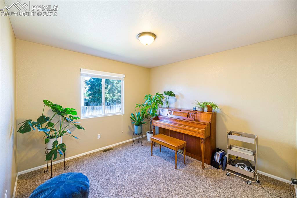 12713 Pine Valley Circle Peyton, CO 80831 - Photo 11 of 26 a room with furniture and a potted plant
