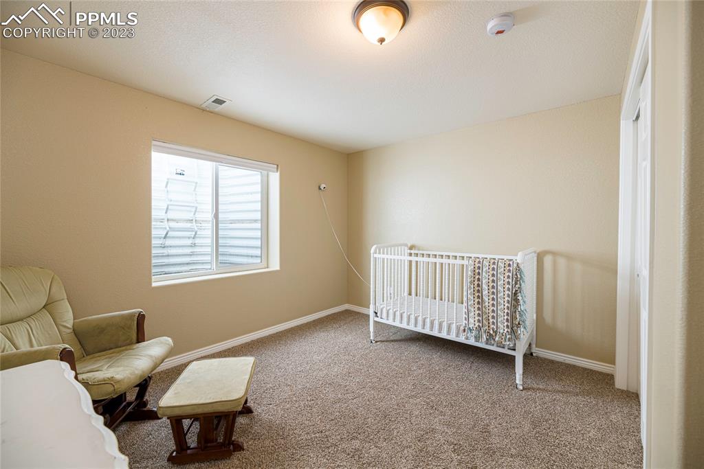 12713 Pine Valley Circle Peyton, CO 80831 - Photo 15 of 26 a bedroom with furniture and window