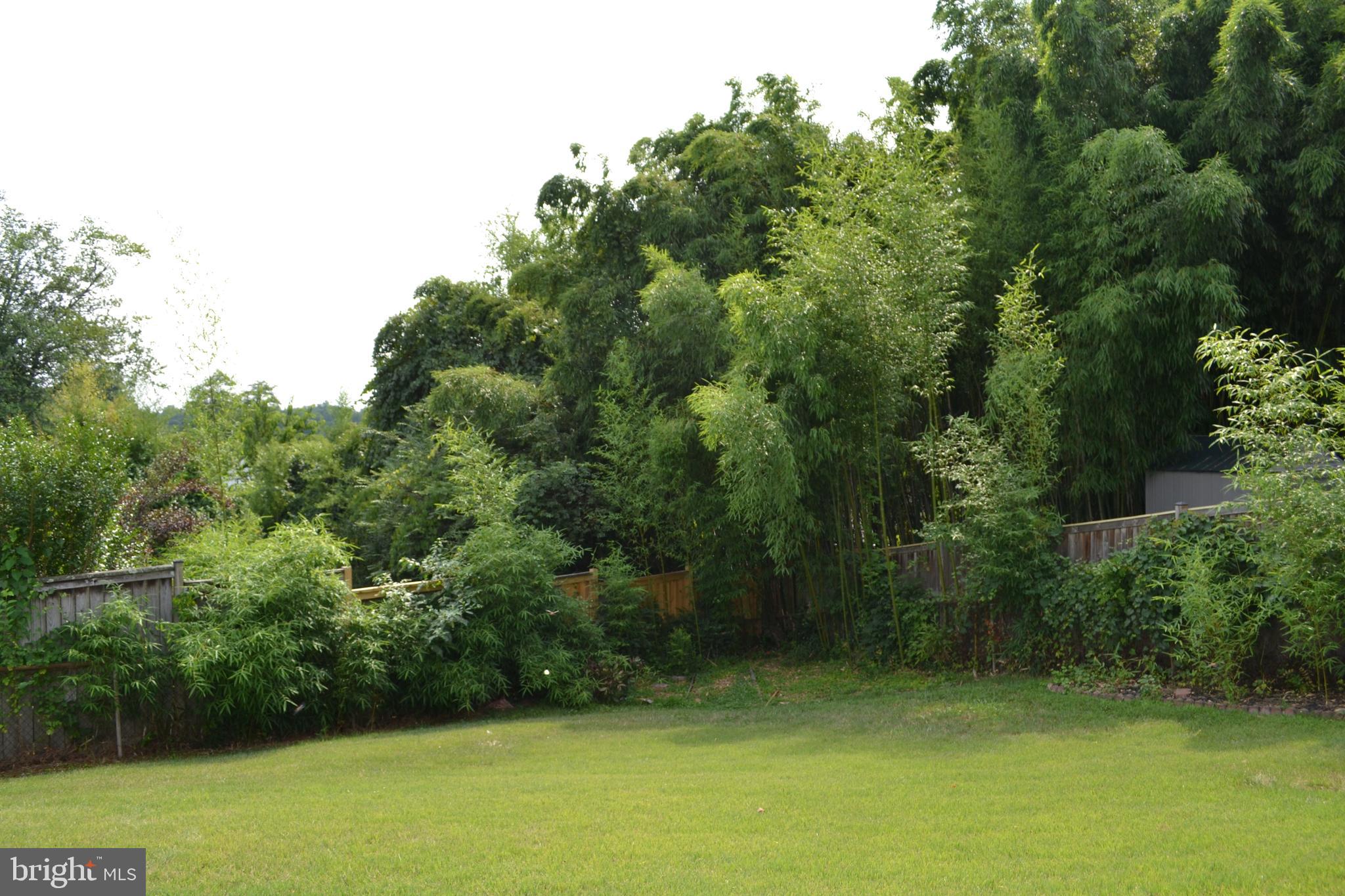 2700 Ross Road Chevy Chase, MD 20815 - Photo 42 of 43