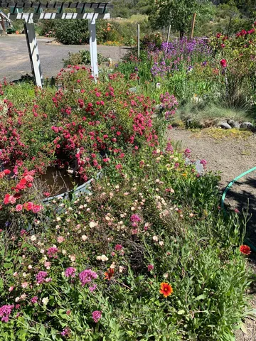 $635,000 | 19155 Scenic Drive, Redwood Valley, CA 95470