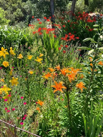 $635,000 | 19155 Scenic Drive, Redwood Valley, CA 95470