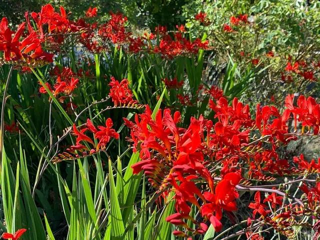 $635,000 | 19155 Scenic Drive, Redwood Valley, CA 95470