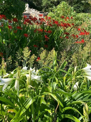 $635,000 | 19155 Scenic Drive, Redwood Valley, CA 95470