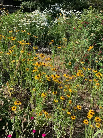 $635,000 | 19155 Scenic Drive, Redwood Valley, CA 95470