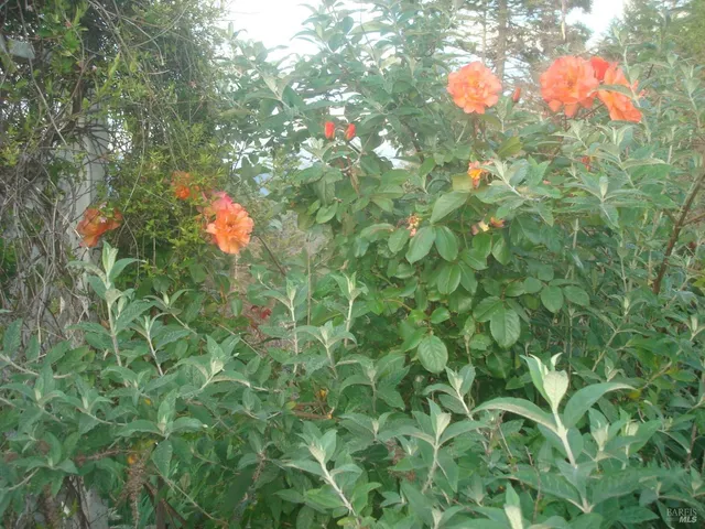 $635,000 | 19155 Scenic Drive, Redwood Valley, CA 95470